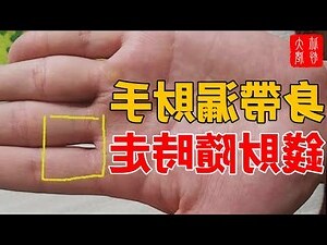 皮夾破掉 漏財